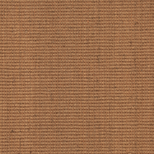 SOLOMON