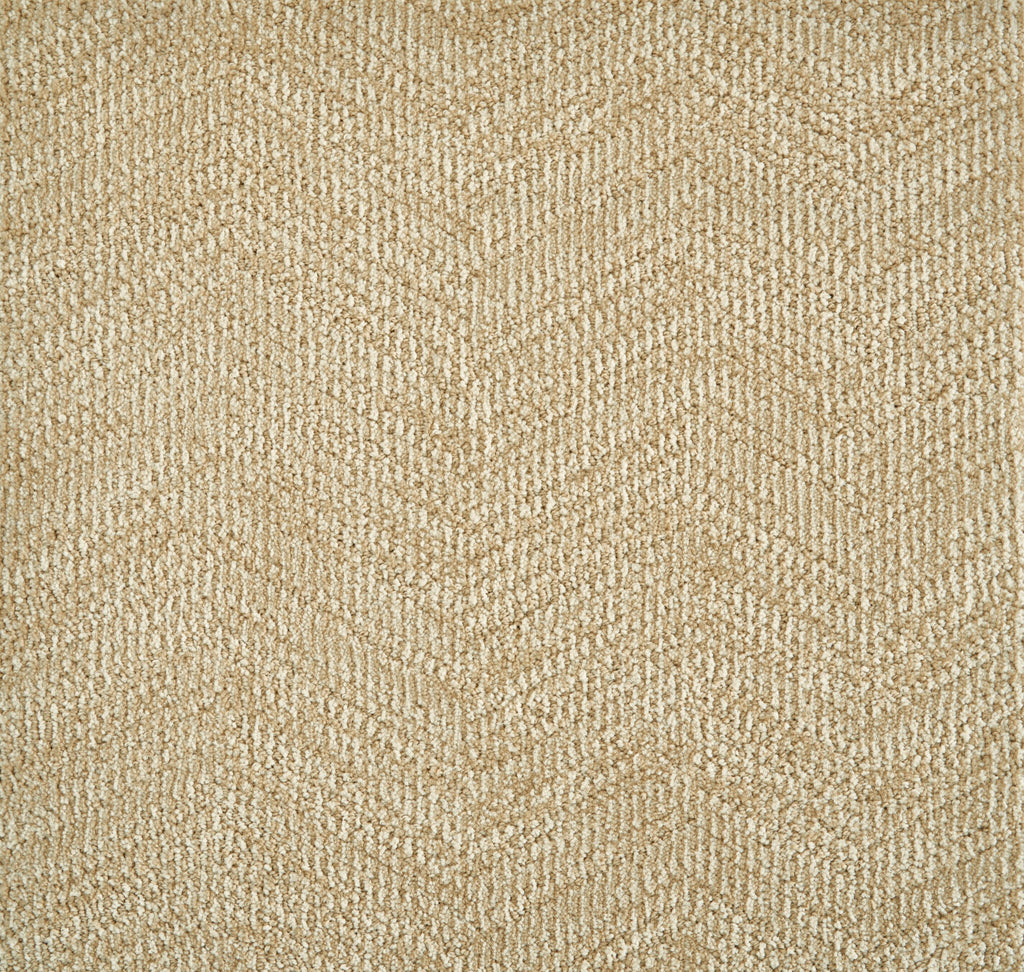 Circuit, SOLD BY BROADLOOM