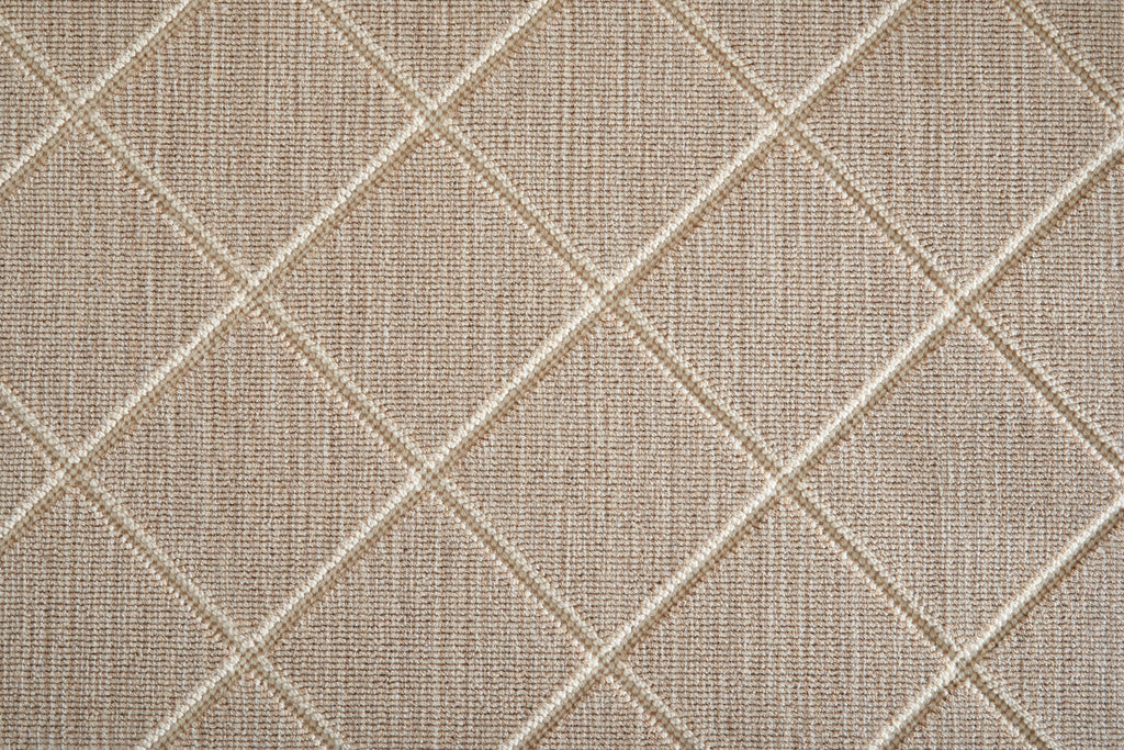 Darwin, SOLD BY BROADLOOM