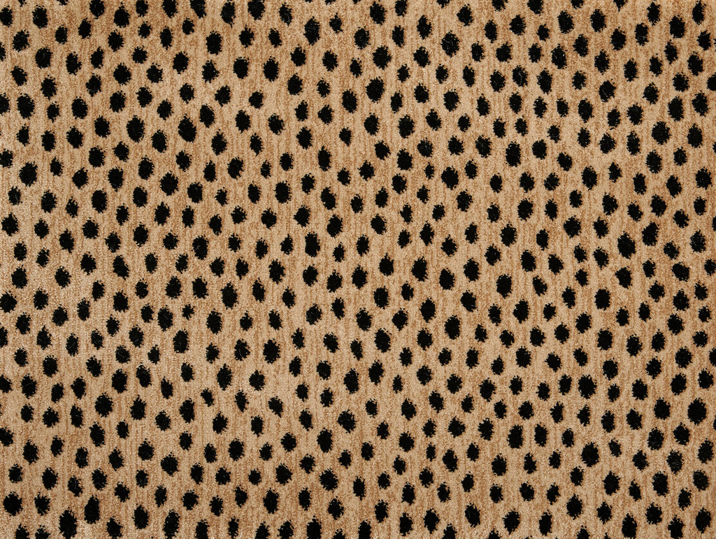 Dottie, SOLD BY BROADLOOM