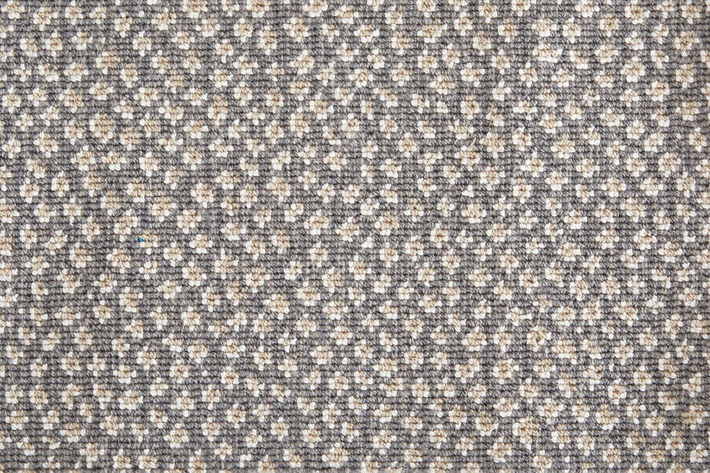 Mirage Cheetah