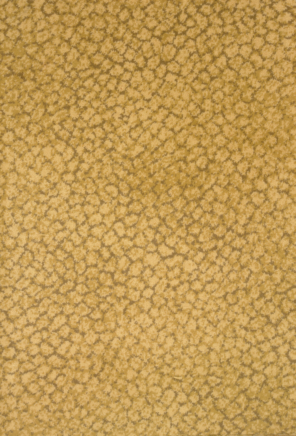Kenya, SOLD BY BROADLOOM
