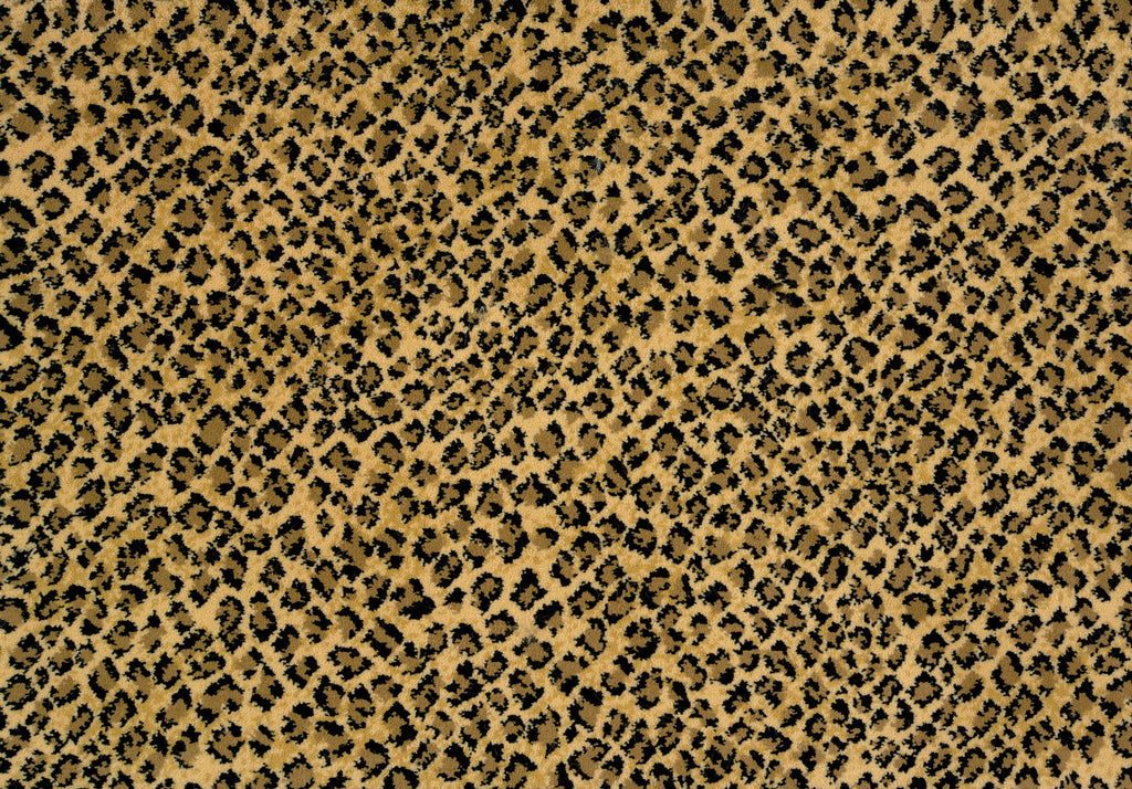 Serengeti, SOLD BY BROADLOOM